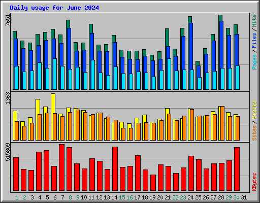 Daily usage for June 2024