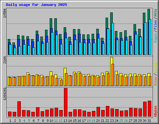 Daily usage for January 2025