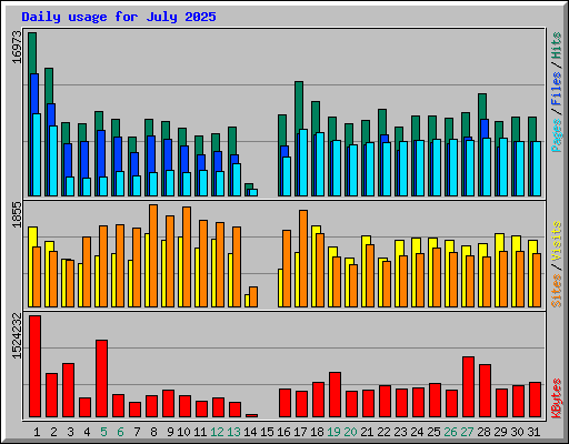 Daily usage for July 2025