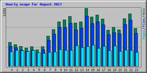 Hourly usage for August 2017