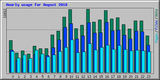 Hourly usage for August 2018