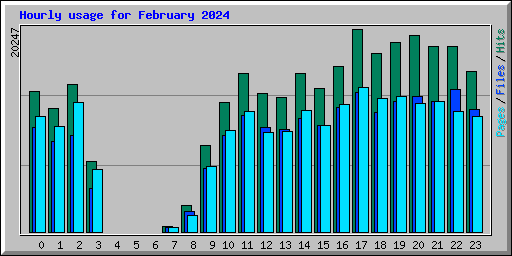 Hourly usage for February 2024