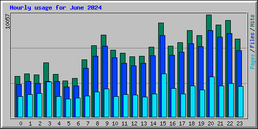 Hourly usage for June 2024