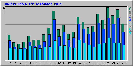 Hourly usage for September 2024