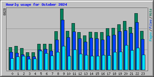 Hourly usage for October 2024