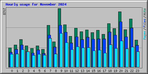 Hourly usage for November 2024