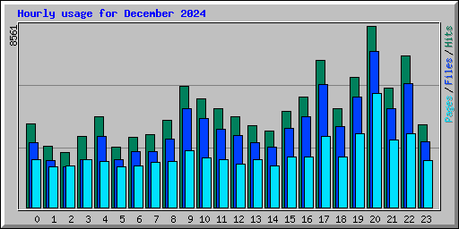 Hourly usage for December 2024