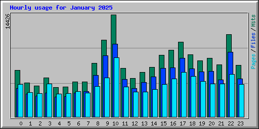 Hourly usage for January 2025