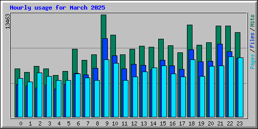 Hourly usage for March 2025