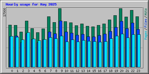 Hourly usage for May 2025