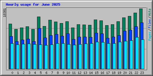 Hourly usage for June 2025
