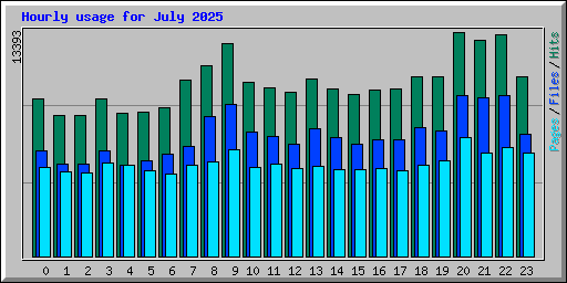 Hourly usage for July 2025