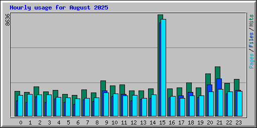 Hourly usage for August 2025
