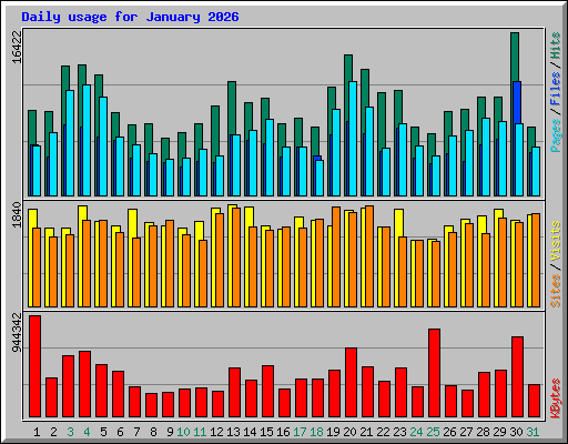 Daily usage for January 2026