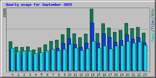 Hourly usage for September 2025