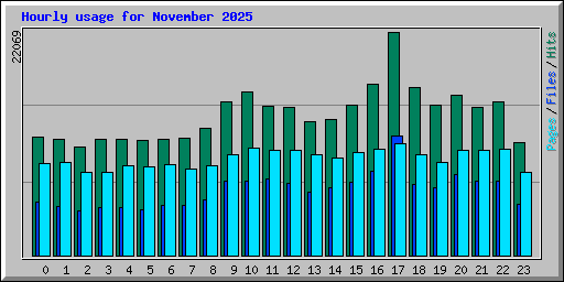 Hourly usage for November 2025