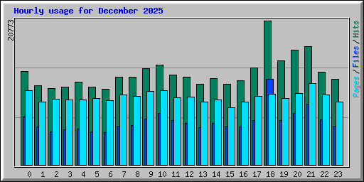 Hourly usage for December 2025