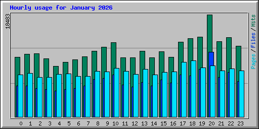 Hourly usage for January 2026
