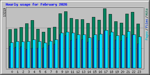 Hourly usage for February 2026