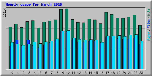 Hourly usage for March 2026