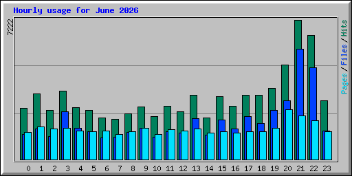 Hourly usage for June 2026