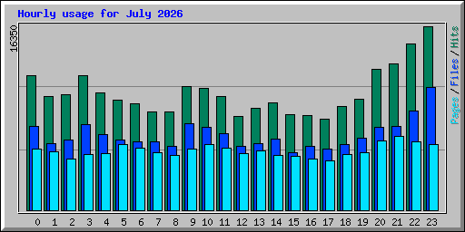 Hourly usage for July 2026