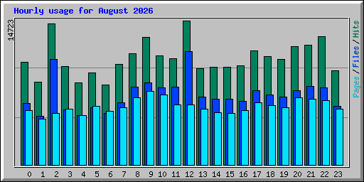 Hourly usage for August 2026